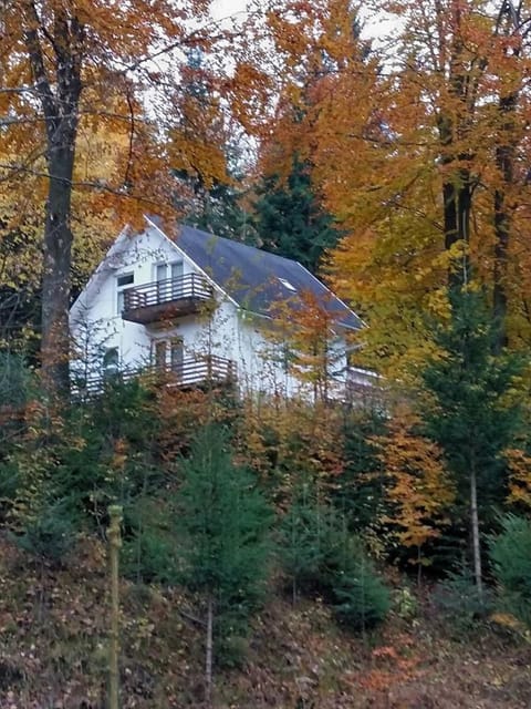 Autumn