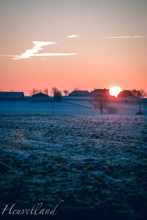 'T Wolvennest Bed and Breakfast in Flanders