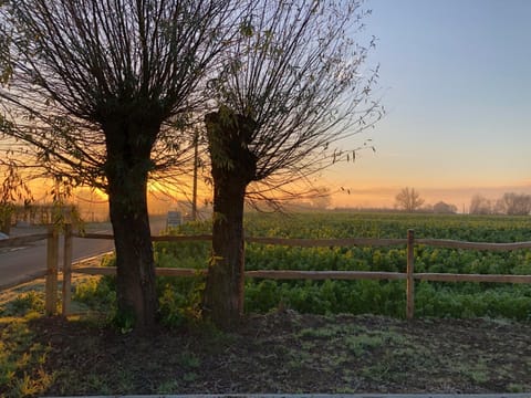 'T Wolvennest Bed and Breakfast in Flanders