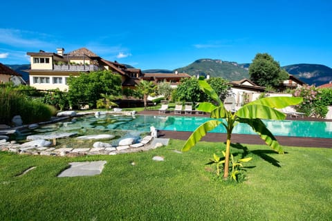 Property building, Garden, Swimming pool, Swimming pool