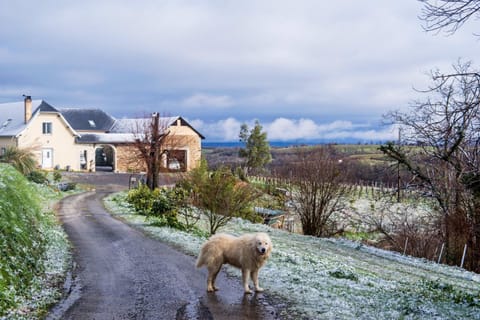 Property building, Natural landscape, Winter, View (from property/room), Pets, Garden view, pet friendly