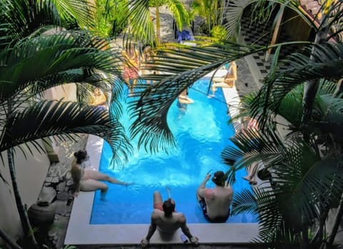 People, Garden, Garden view, Pool view, Swimming pool, group of guests