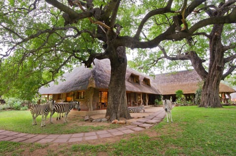Property building, Animals