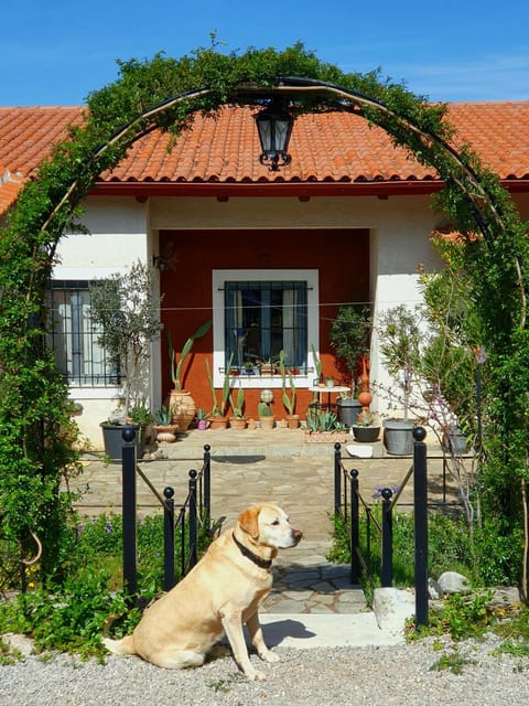 Property building, Day, Pets