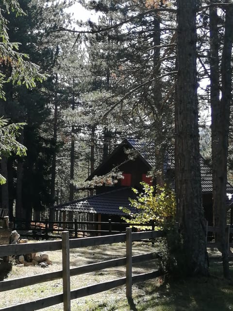 Tarski dom Nature lodge in Zlatibor District, Serbia