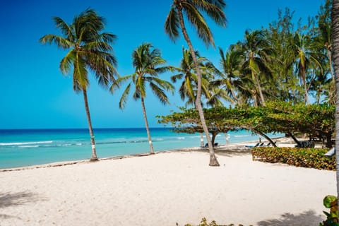 Day, Beach, Sea view