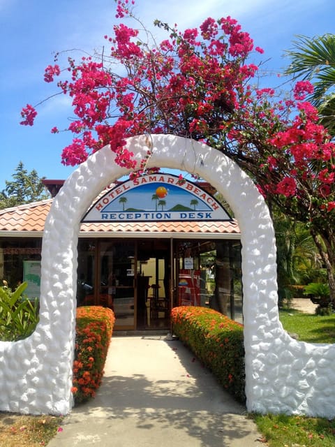 Facade/entrance, View (from property/room)