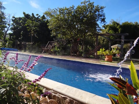 Swimming pool, Swimming pool