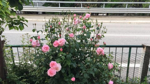 Itaka Bed and Breakfast in L'Aquila