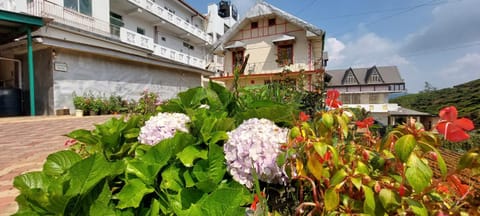 Property building, Garden