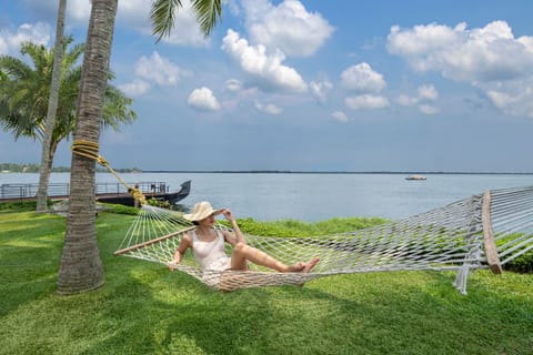 Lake view