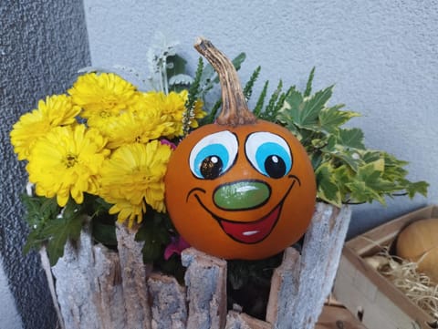 Pension Temizdemir Apartment in Lahr