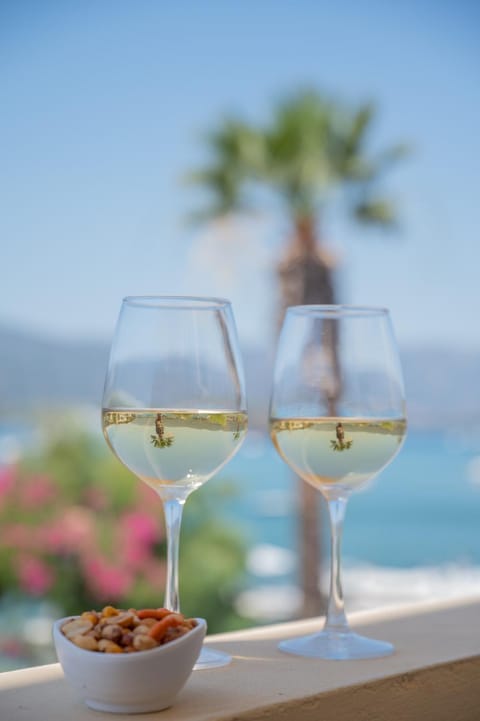 Theano Hotel Hotel in Poros