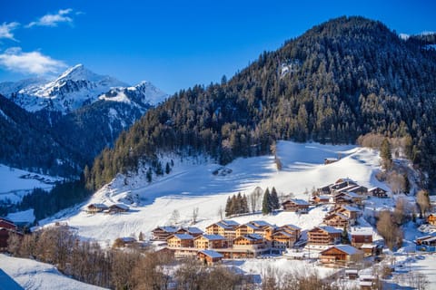 Property building, Off site, Natural landscape, Bird's eye view, Winter, Ski School, Skiing