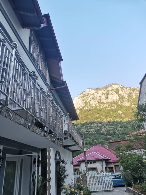 Casa Papava Bed and Breakfast in Serbia