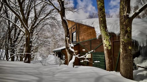 Natural landscape, Winter, Mountain view