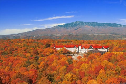 Facade/entrance, Day, Bird's eye view, Autumn