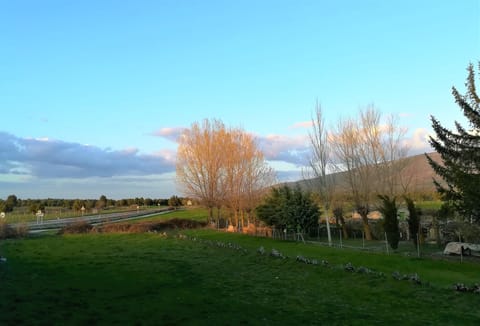 Spring, Day, Natural landscape