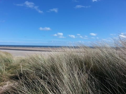 Natural landscape, Beach