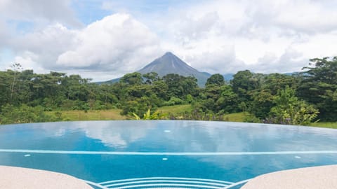 Garden view, Pool view, Swimming pool, Inner courtyard view
