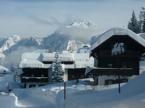 Winter, Mountain view