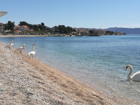 Apartman Ban Apartment in Šibenik