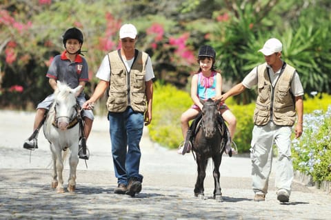 Horse-riding, Animals, children