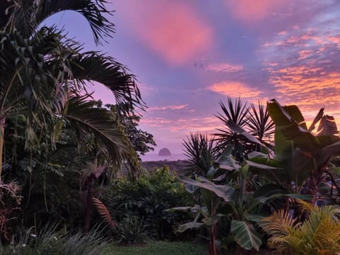 Garden, Garden view, Sunset