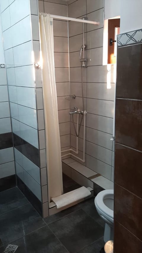 Casa Sviniceană Bed and Breakfast in Serbia