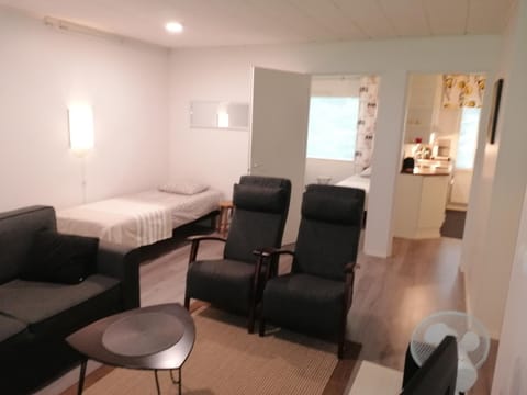 Majoituspalvelu Nurmi Apartment Peipontie 3 A Saunallinen Huoneisto Apartment in Finland