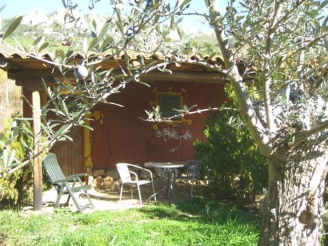 Patio, Garden, Garden view