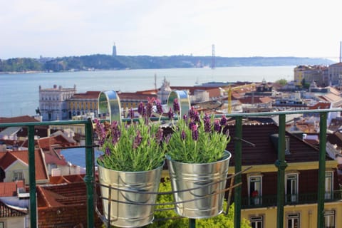 Balcony/Terrace, City view, River view