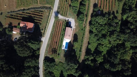 Bird's eye view, Summer, On site