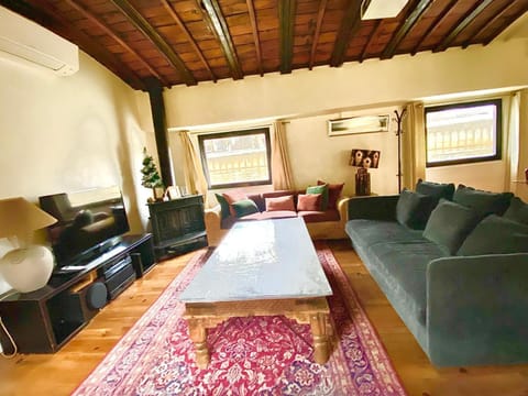 Grande péniche 4 ch - 10 pers -Paris - Ile de Puteaux- terrasses House in Puteaux