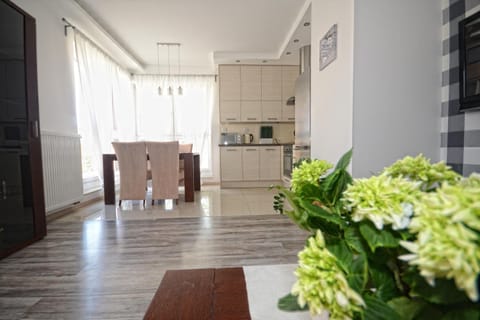Kitchen or kitchenette, Living room, Seating area, Dining area