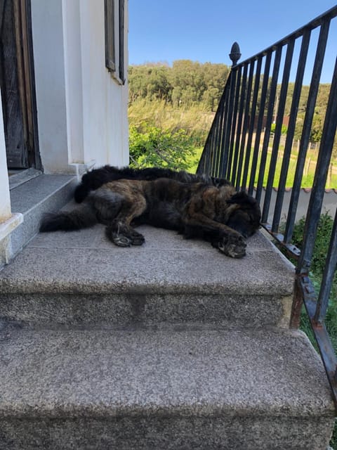 A Loghja Di Cavallo Morto Bed and Breakfast in Bonifacio