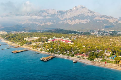 Bird's eye view, Beach