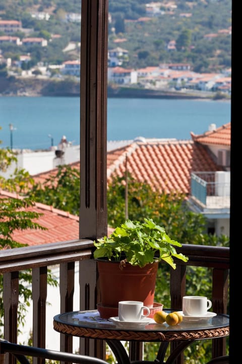 View (from property/room)