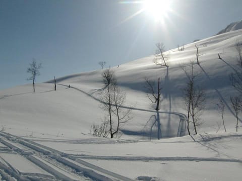 Lyngenfjord,Odins Hus Apartment in Troms Og Finnmark