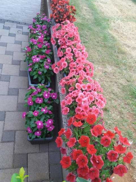 Pansion Ljubica Bed and Breakfast in Federation of Bosnia and Herzegovina