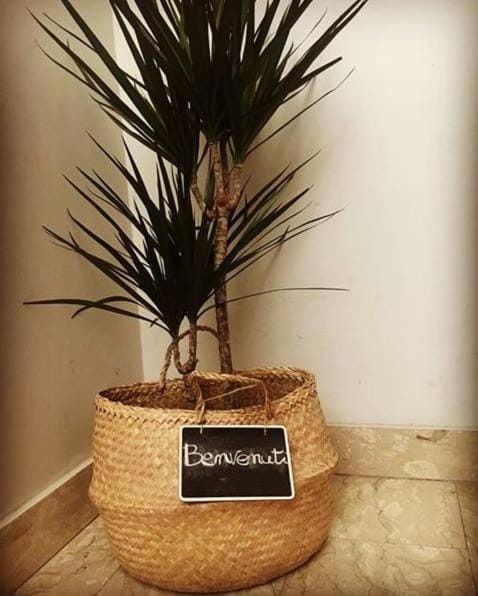 Sorelle Casa Vacanza House in Matera