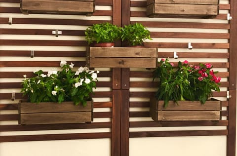 Patio, Inner courtyard view