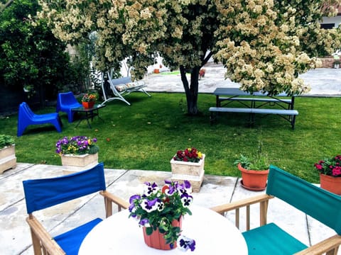 Patio, Garden