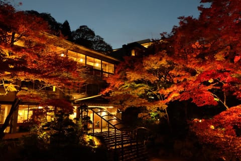 Property building, Night, Natural landscape