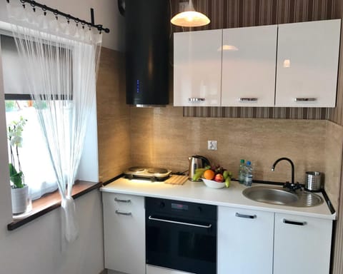Kitchen or kitchenette, minibar, stove