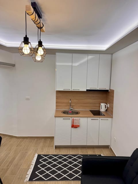 Kitchen or kitchenette, minibar, stove