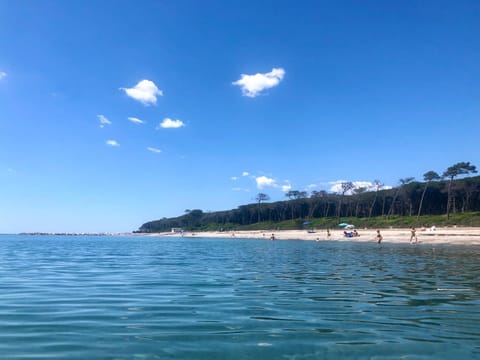 Nearby landmark, Natural landscape, Fishing, Horse-riding, Snorkeling, Beach, Windsurfing, Canoeing, Hiking, Cycling, Diving, On site