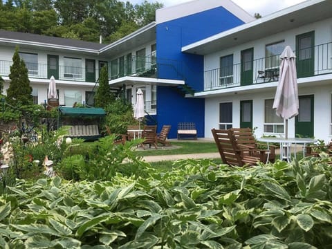 Staff, Staff, Restaurant/places to eat, Spring, People, Natural landscape, Winter, Summer, Children play ground, View (from property/room), Banquet/Function facilities, Hiking, Cycling, Autumn, Garden view, Mountain view, Supermarket/grocery shop, Swimming pool, Swimming pool, Family, Family