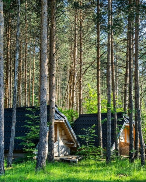 Chalets pod Gorom Nature lodge in Montenegro