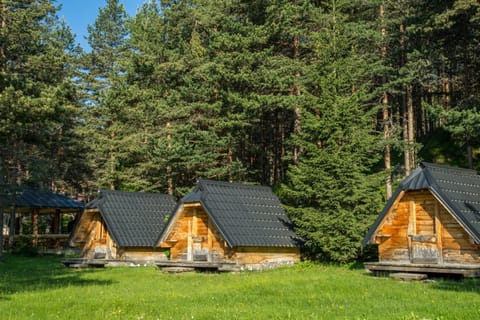 Chalets pod Gorom Nature lodge in Montenegro